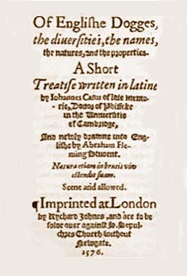 TitlePageofEnglisheTranslat.jpg